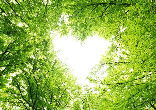 Mentale Gezondheid en Leefstijl Mentale Gezondheid en Leefstijl